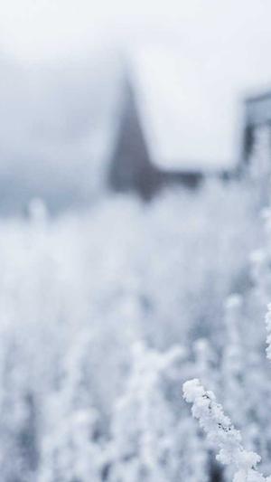 蜘蛛池真的能收录网站吗截图1