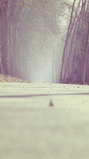 用什么程序来做蜘蛛池截图3