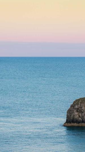 蜘蛛池用法截图2