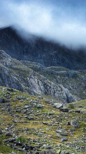 上海蜘蛛池出租服务截图5