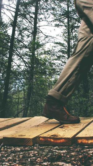 seo泛目录程序截图2