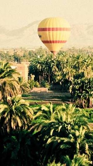 容桂网站建设截图3