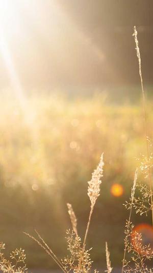 网站建设流程截图4