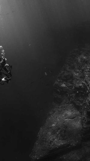 关键字排行seo工具截图1