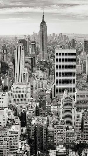 蜘蛛池和爬虫截图3