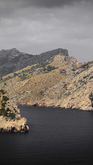 seo实战密码截图2