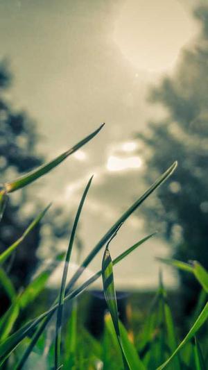 seo 站群优化蜘蛛池截图3