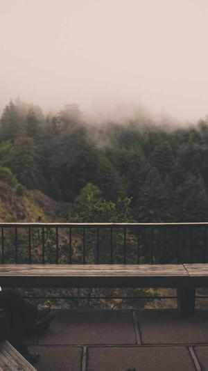 mip泛目录站群截图4