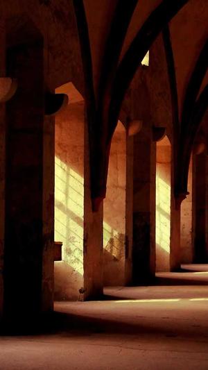 seo建站教程截图1