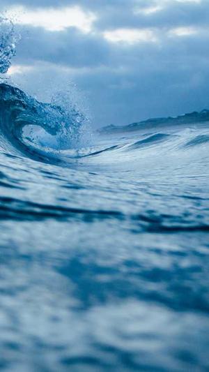 洛阳seo工具大全截图1