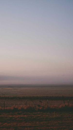 seo网络营销截图1