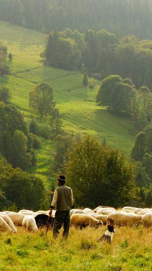 网站建设模板截图1