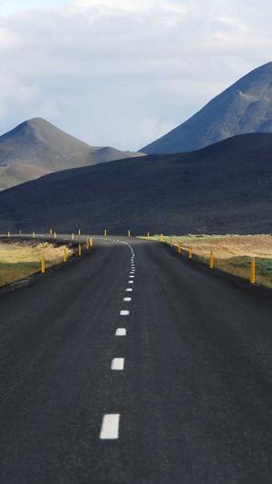 城市分站 站群泛目录截图3