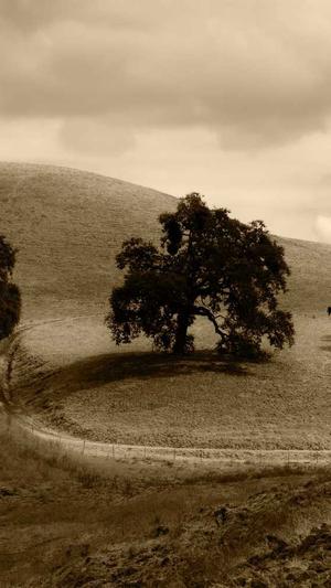 网站seo优化服务截图3