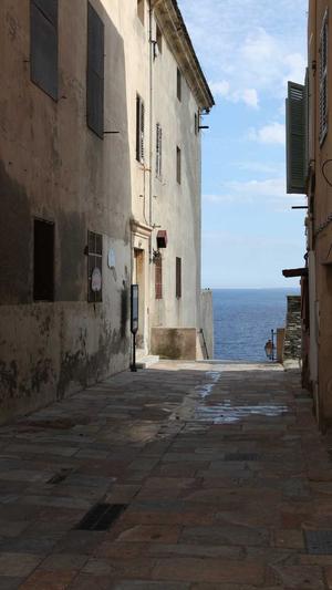 寄生虫泛目录截图4