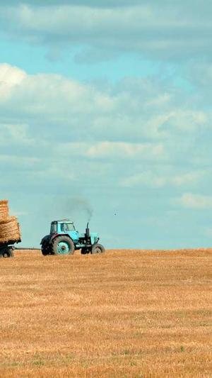 免费seo伪原创工具下载截图3