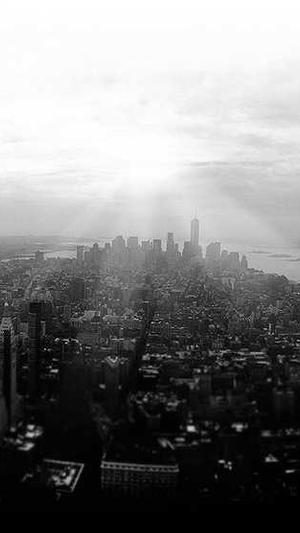 蜘蛛池百度会收录吗截图5