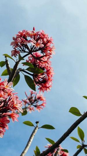 北京seo优化截图1