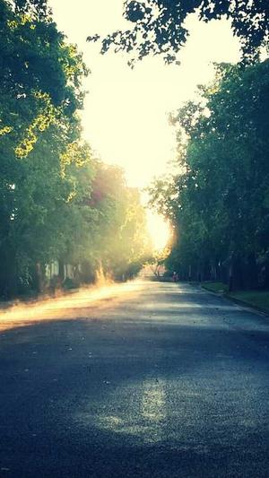 武汉 网站建设截图1