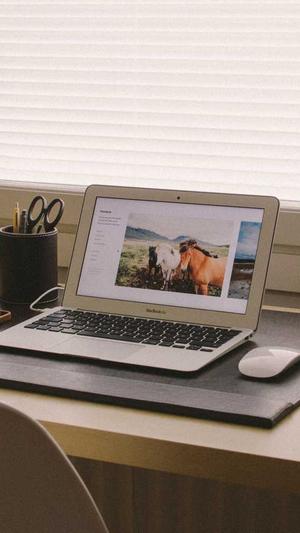 泛目录如何快速收录截图4