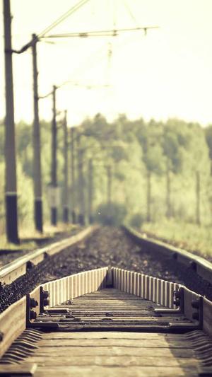 蜘蛛池租用便宜吗截图3