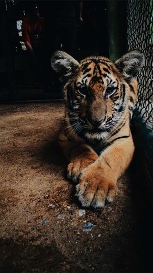 网站建设与管理截图1