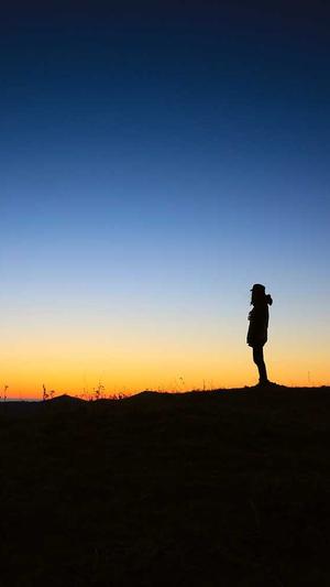 seo营销工具截图2