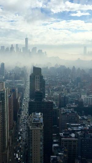 泛目录最新收录程序截图1