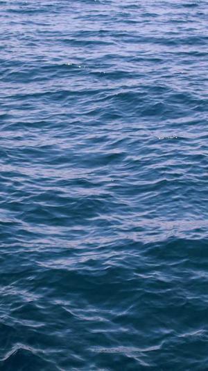 小旋风蜘蛛池视频教程截图4