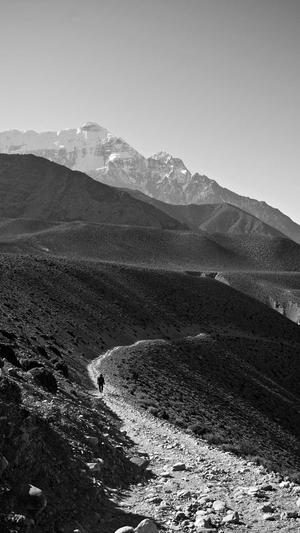 渭南网站建设截图1