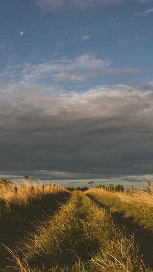 网站建设教程截图3