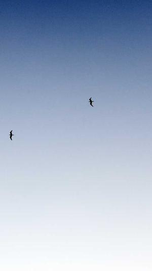 无锡网站建设截图3