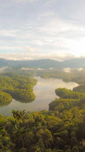 SEO 站长工具截图2