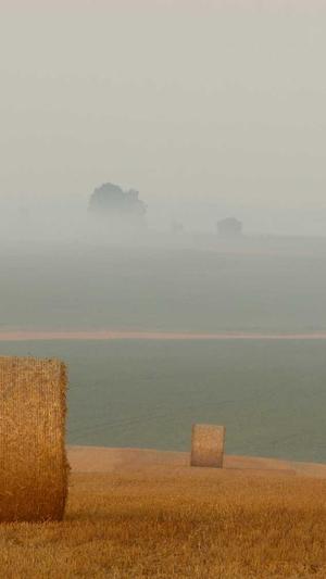 seo优化工具免费完整版截图4