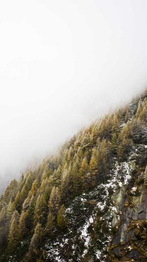 seo服务平台选择截图2