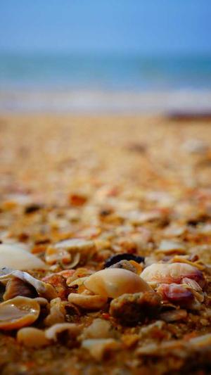 蜘蛛池的原理图解截图4