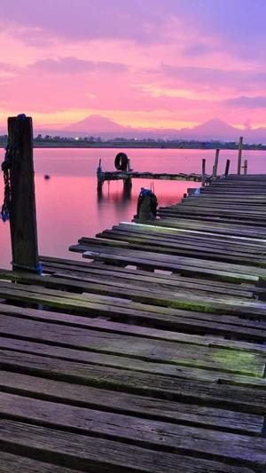 优化seo公司截图4