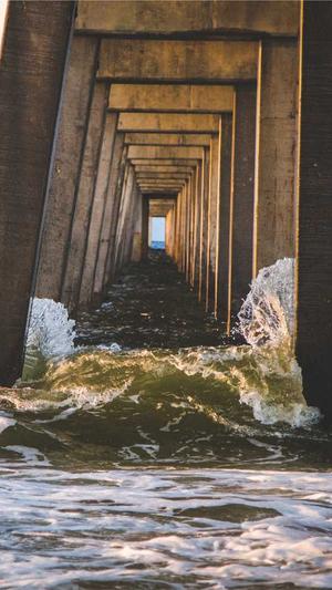 seo百度快排工具运营截图4