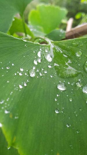 网站建设开发公司截图2