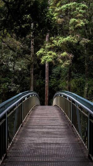 便宜网站建设截图1