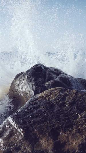 排名seo优化公司截图4