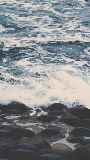 昆明seo优化截图3