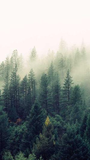 关键字排行seo工具截图2