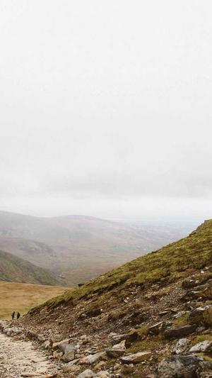 在线seo外链工具截图2