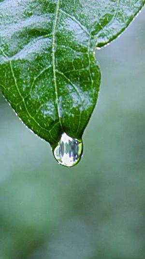 百度泛目录灰色词代发截图3