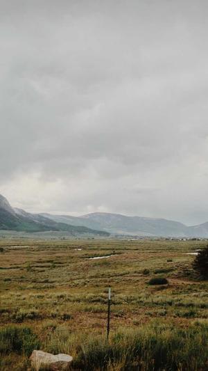 seo优化作用截图3