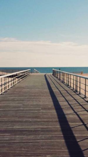 兰州优化seo工具工具截图1