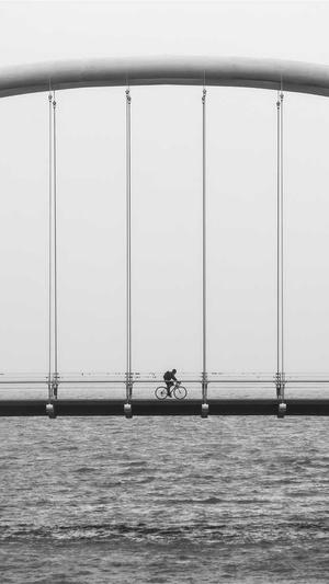 蜘蛛池免费seo博客截图1