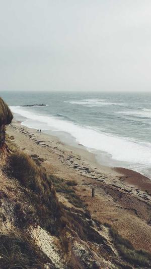 专业的网站建设公截图5