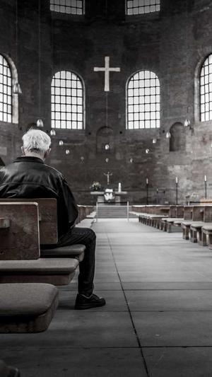 蜘蛛池租用便宜吗截图2